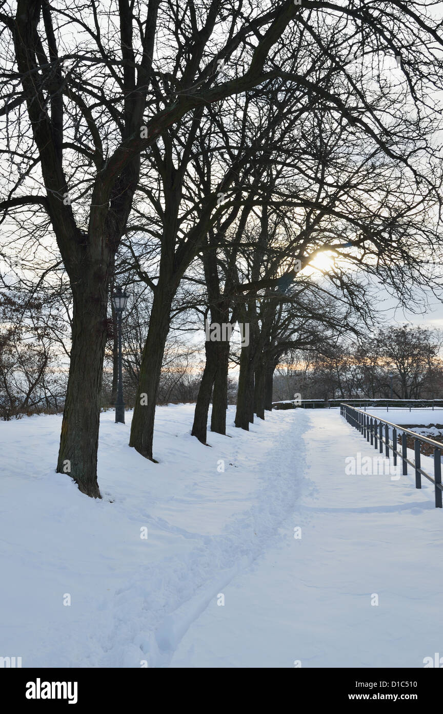 Winter Landscape with Tree and Traces on a Snow Stock Photo - Alamy