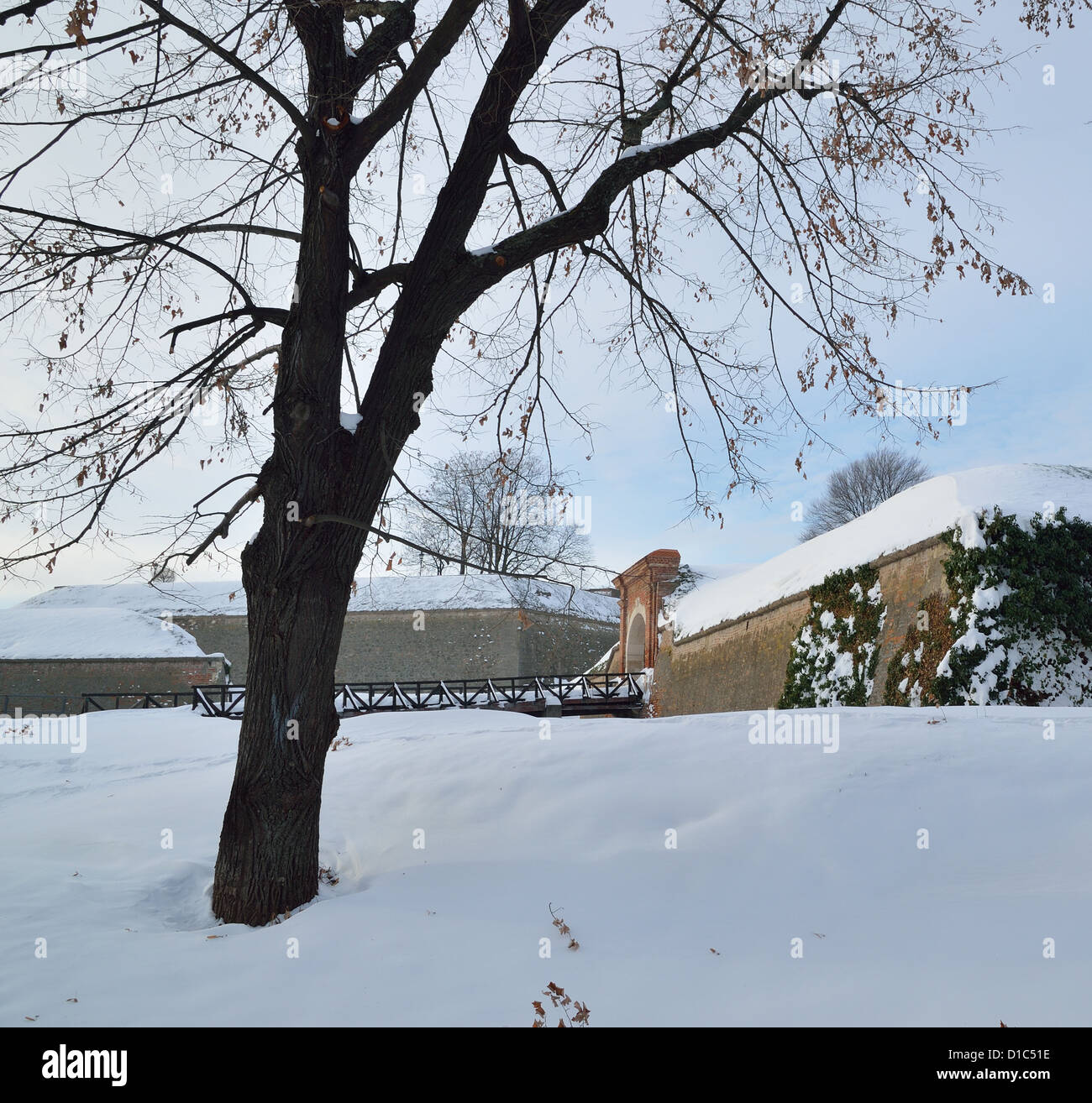 Winter Landscape with Tree and Traces on a Snow Stock Photo - Alamy