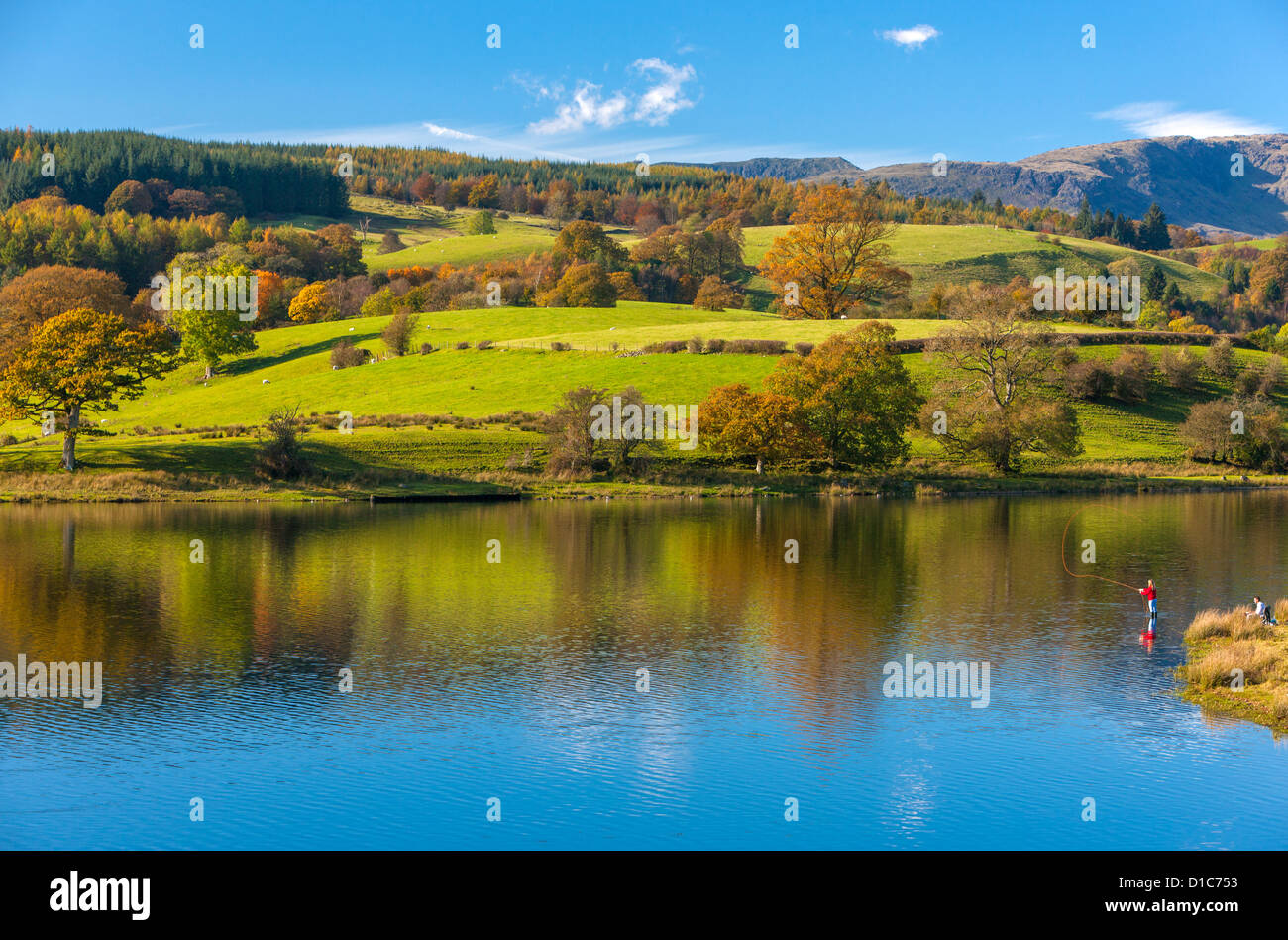 Woman fly fishes in Esthwaite Water in the Lake District National Park, Cumbria, England, UK, Europe Stock Photo