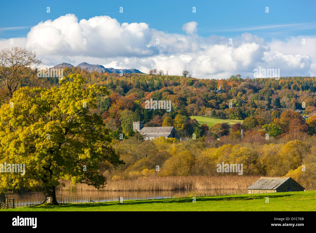 Autumn landscape on the Esthwaite Water shore in the Lake District National Park. Stock Photo