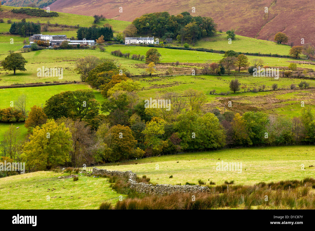 Keskadale and Derwent Fells near Keswick, Lake District National Park