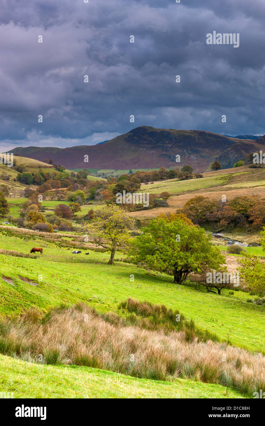 Keskadale and Derwent Fells near Keswick, Lake District National Park