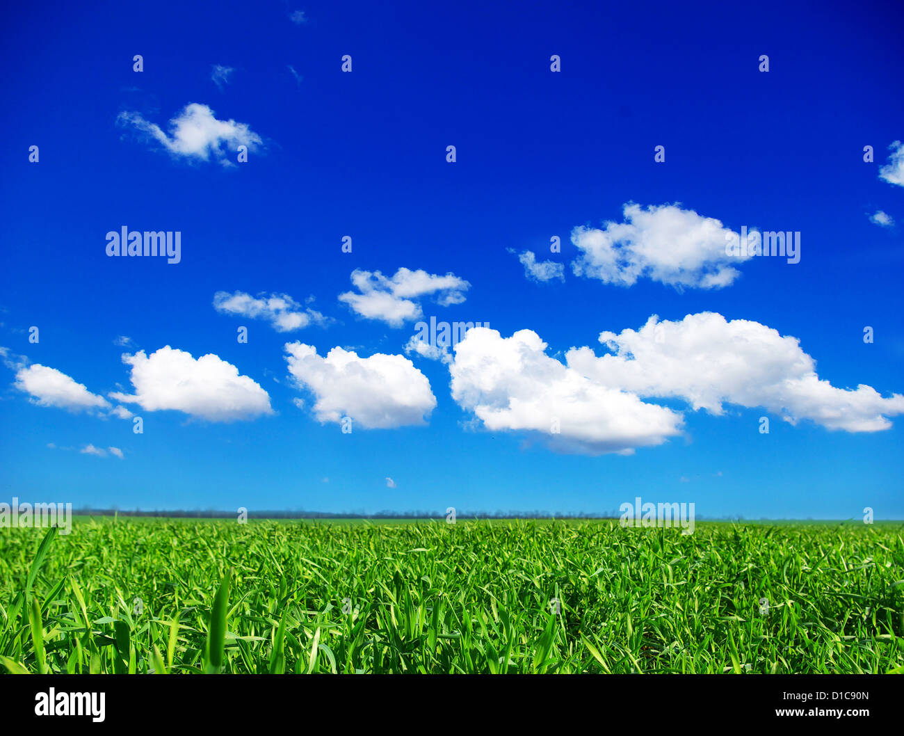 green field and blue sky Stock Photo - Alamy