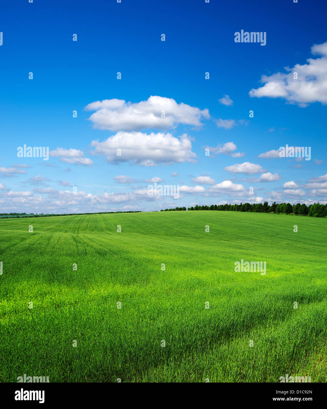 green field and blue sky Stock Photo - Alamy