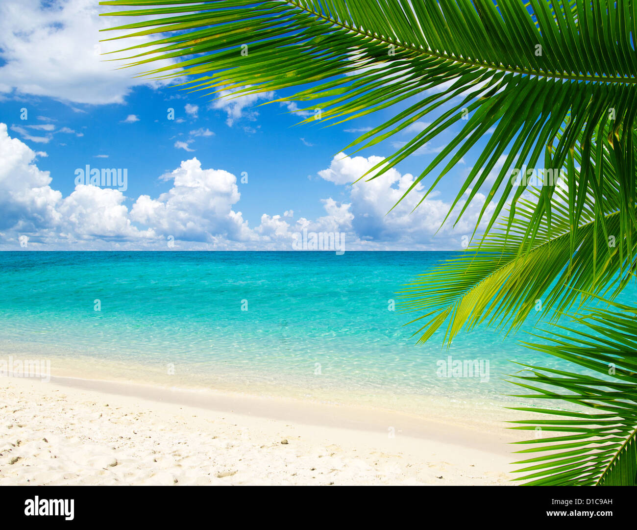 Beautiful nature tropical beach hi-res stock photography and images - Alamy