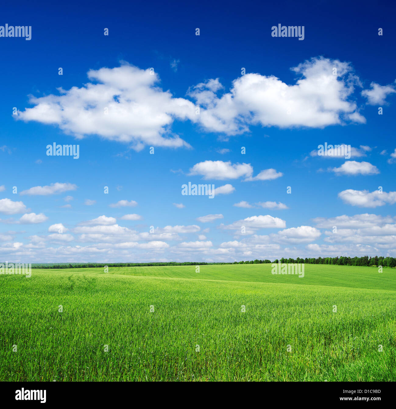green field and blue sky Stock Photo - Alamy