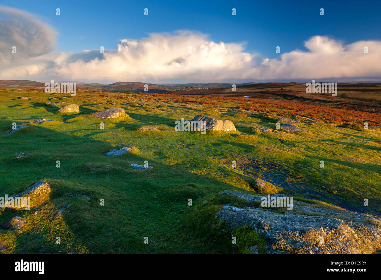 Moorland near Haytor Rocks in the Dartmoor National Park. Stock Photo