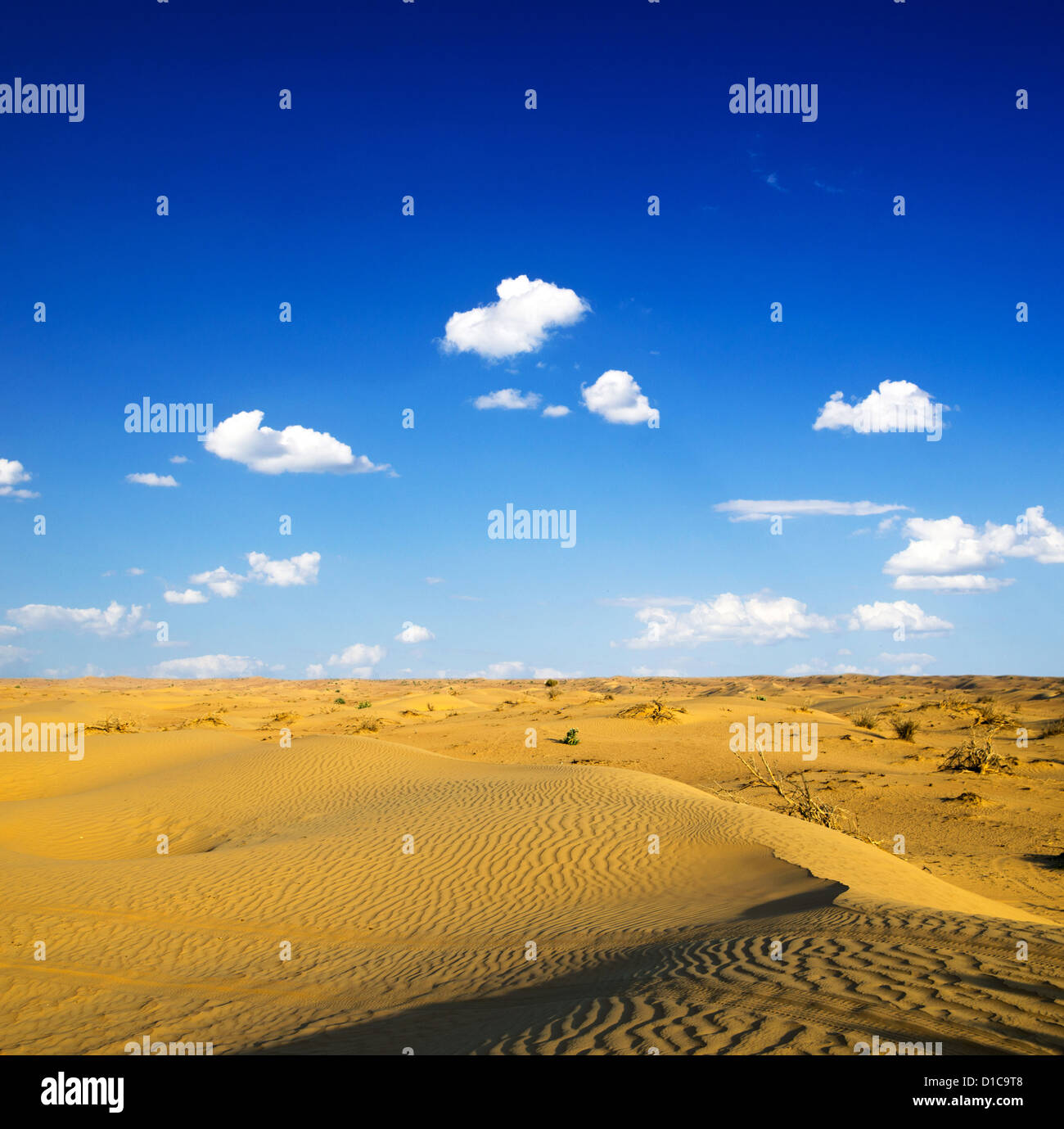 Desert landscape with blue sky Stock Photo - Alamy