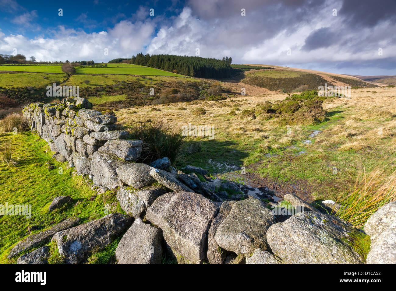 Valley of the West Dart River near Two Bridges in the Dartmoor National Park. Stock Photo