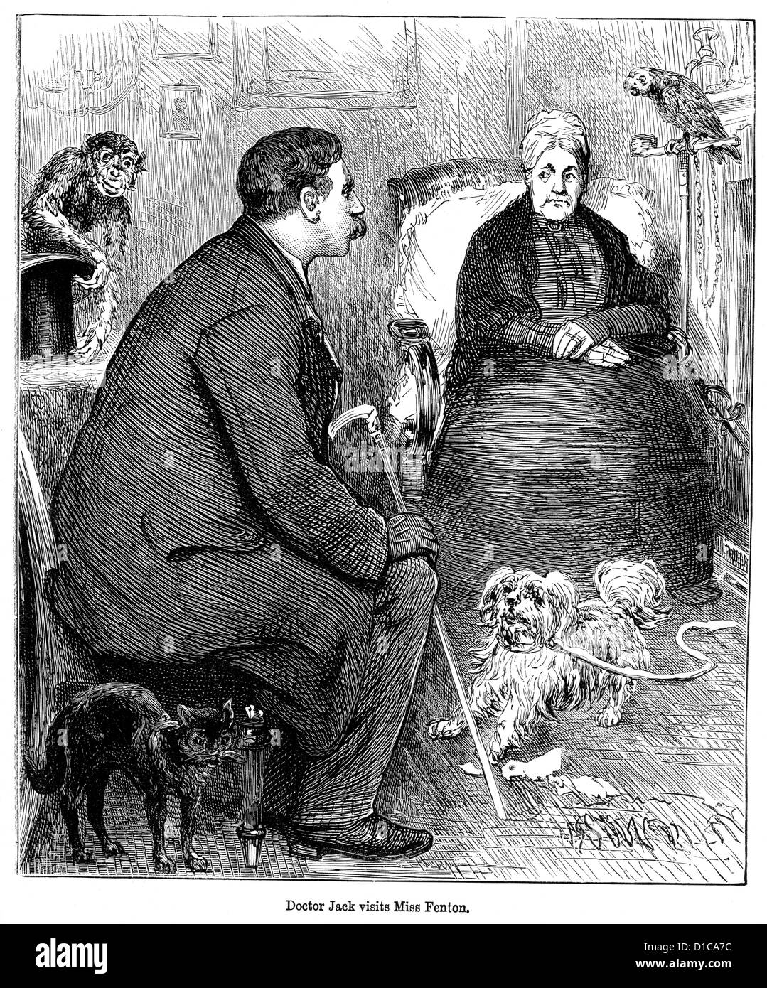 Victorian engraving of a doctor visiting an eccentric old spinster ...