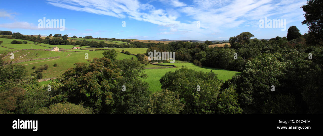 Summer Landscape view over Blackton village, Upper Teesdale, Durham County, England, Britain, UK Stock Photo