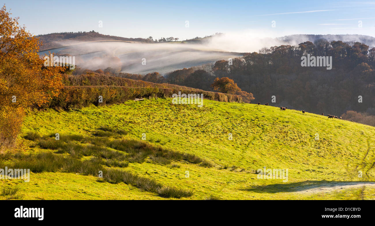 Dunsford hires stock photography and images Alamy