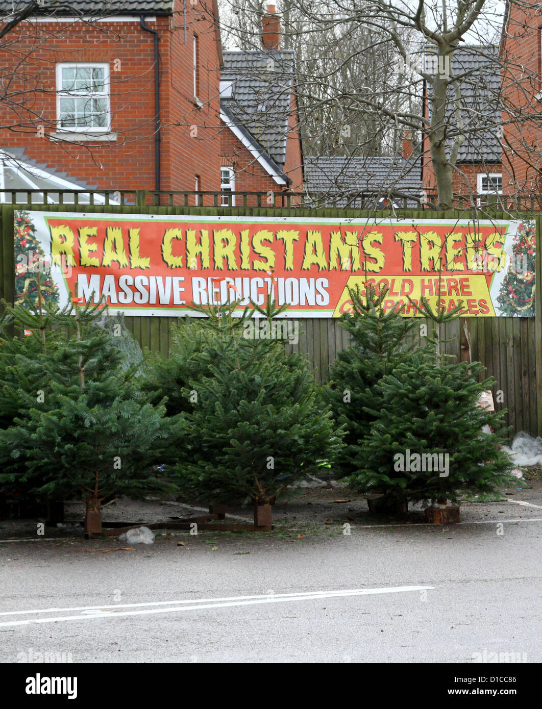 Advertising Real Christmas Trees For Sale Sign All Sizes & Materials 