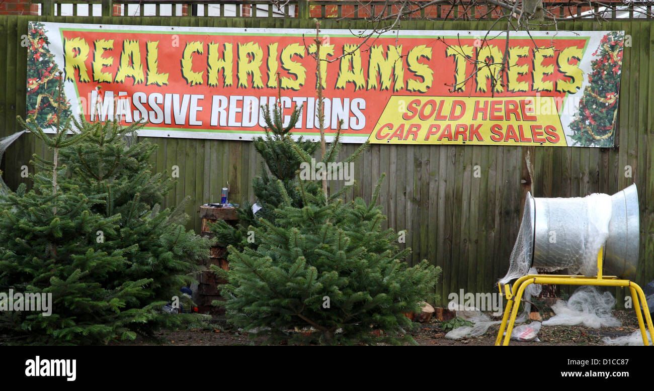 Advertising All Sizes & Materials Real Christmas Trees For Sale Sign 