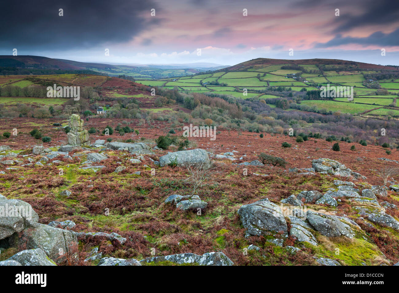 Granite rocks on the moorland at Hayne Down in Dartmoor National Park. Stock Photo