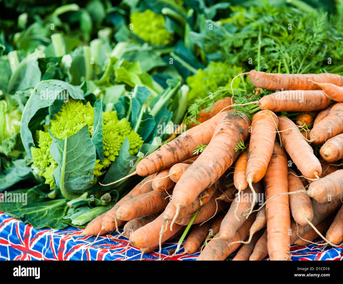 Fresh organic British vegetables on a table Stock Photo Alamy