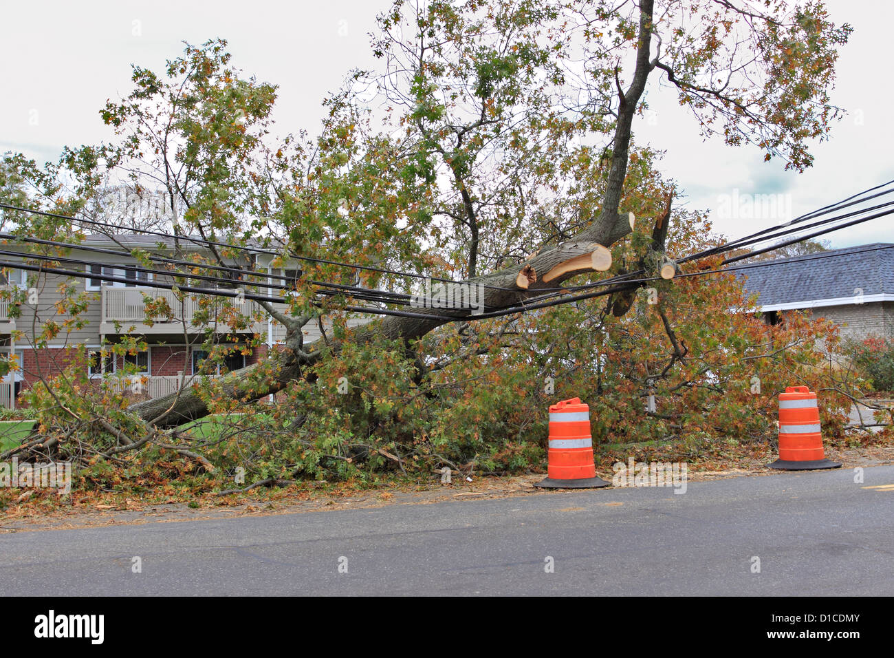 Hurricane Sandy storm damage Smithtown Long Island NY Stock Photo