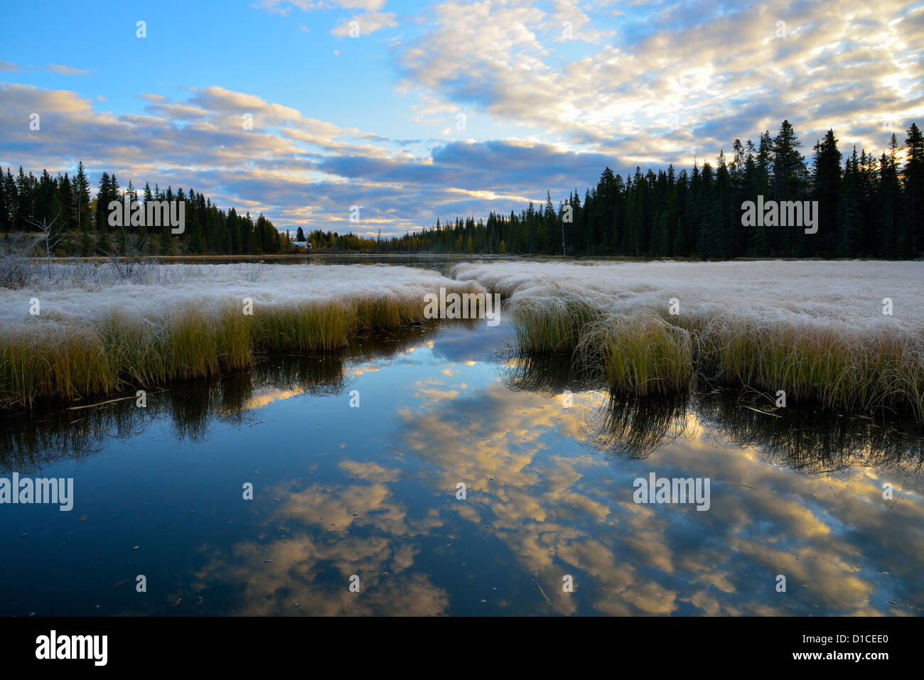 A frosty morning on Maxwell Lake situated in Hinton Alberta Canada