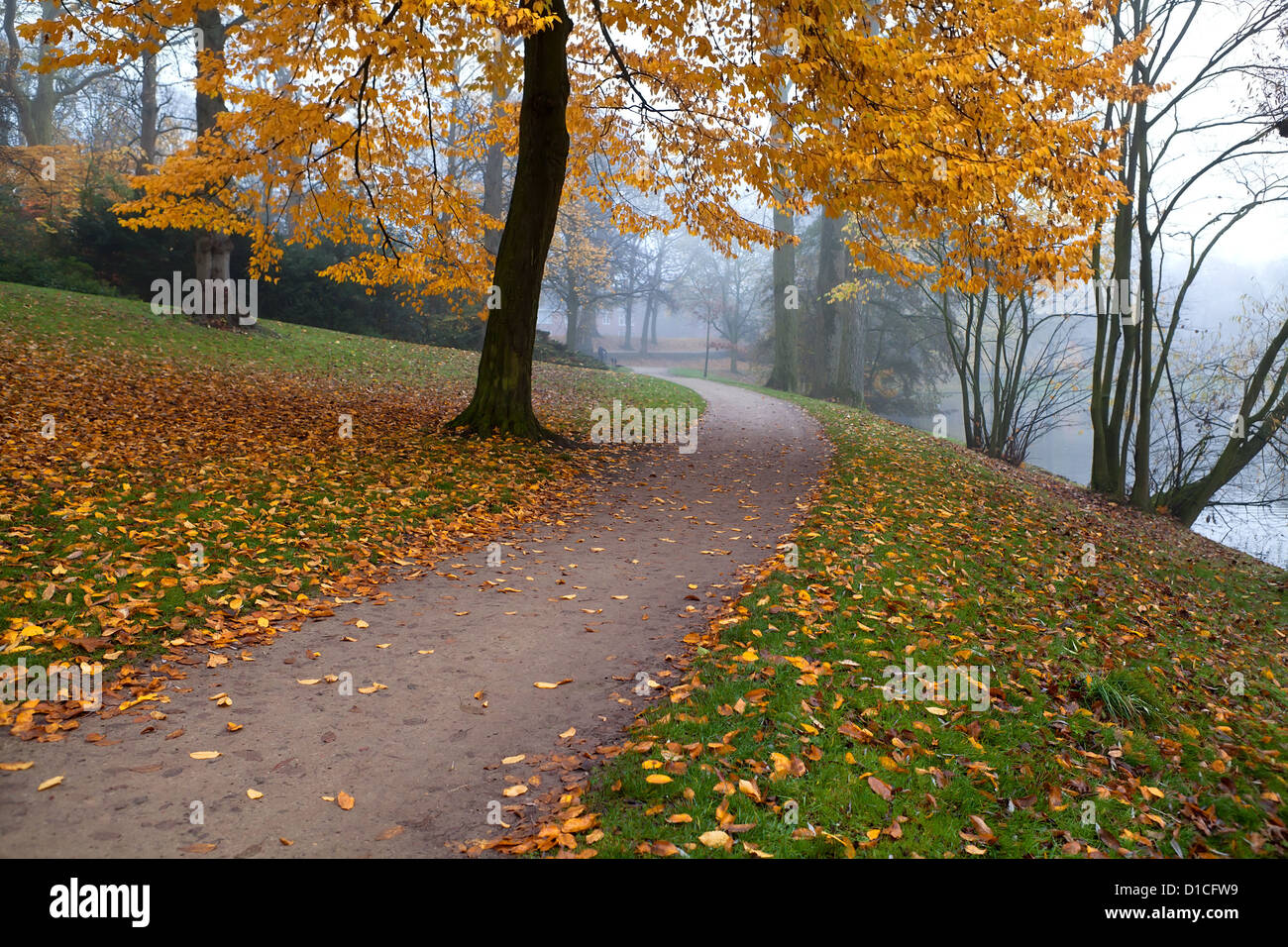 path in misty autumn park covered with yellow leaves Stock Photo - Alamy
