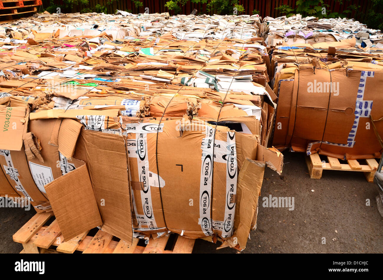 Bales of cardboard boxes Stock Photo Alamy