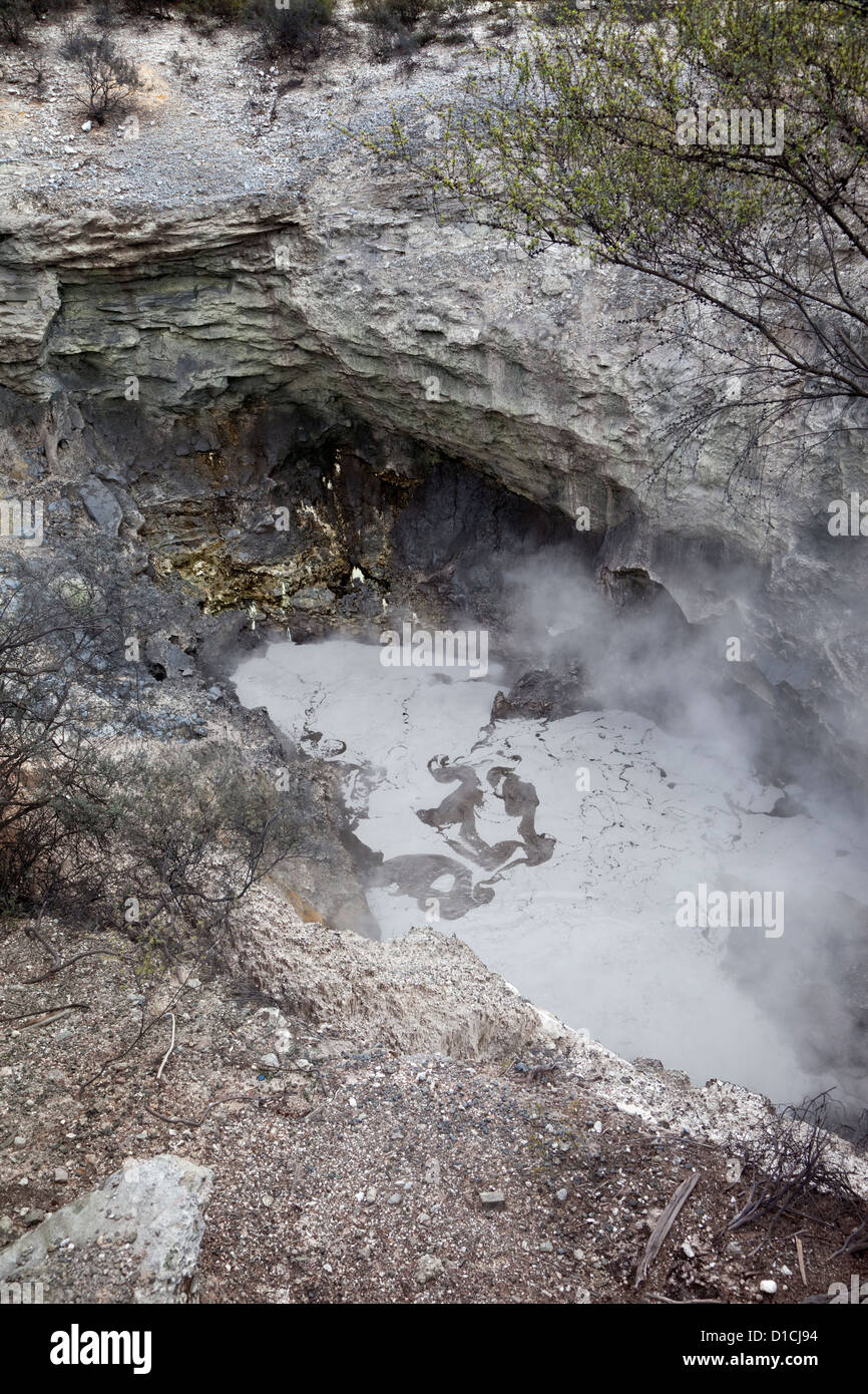 Boiling Mud Pot, Waiotapu Thermal Site, near Rotorua, north island, New Zealand. Stock Photo