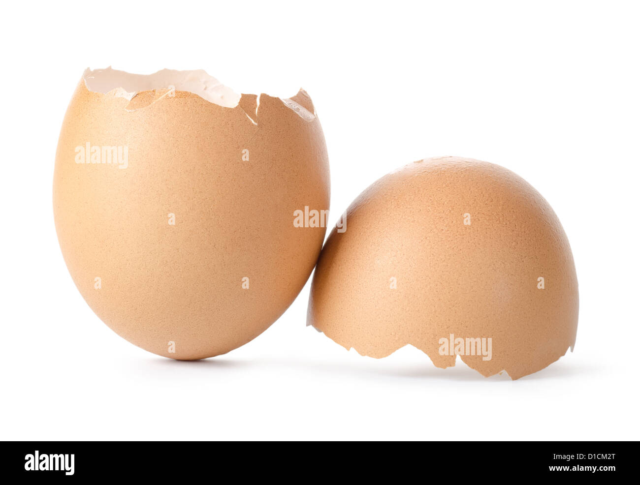 Empty egg shell isolated on a white background Stock Photo