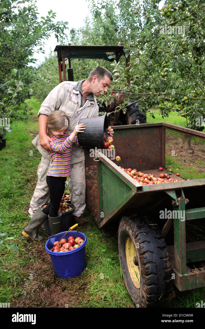 Cider making at Broome Farm near RossonWye UK where there is free