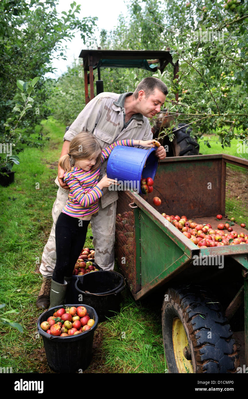 Cider making at Broome Farm near RossonWye UK where there is free