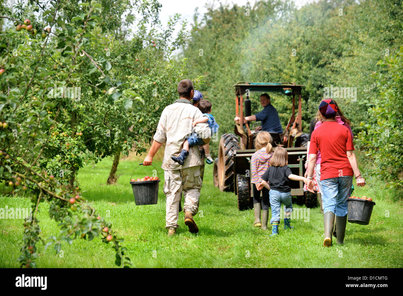 Cider making at Broome Farm near Ross-on-Wye UK where there is free camping and tasting to volunteer apple pickers Stock Photo