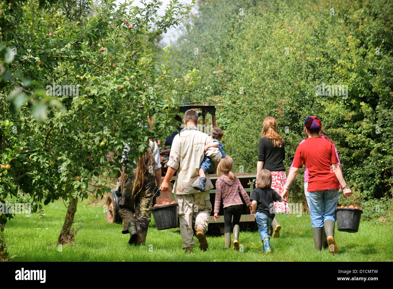 Cider making at Broome Farm near Ross-on-Wye UK where there is free camping and tasting to volunteer apple pickers Stock Photo