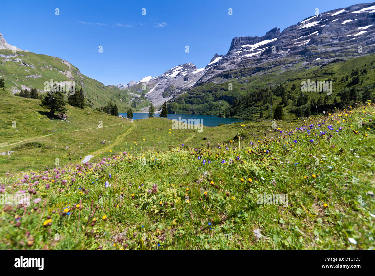 Alpine Landscape in the Suisse Alps, Europe Stock Photo - Alamy