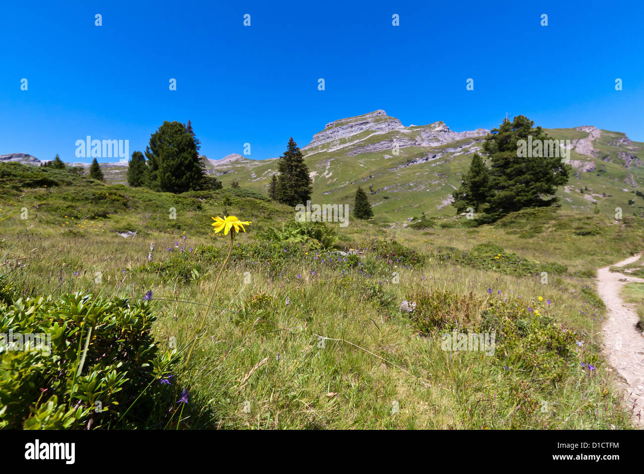 Alpine Landscape in the Suisse Alps, Europe Stock Photo - Alamy