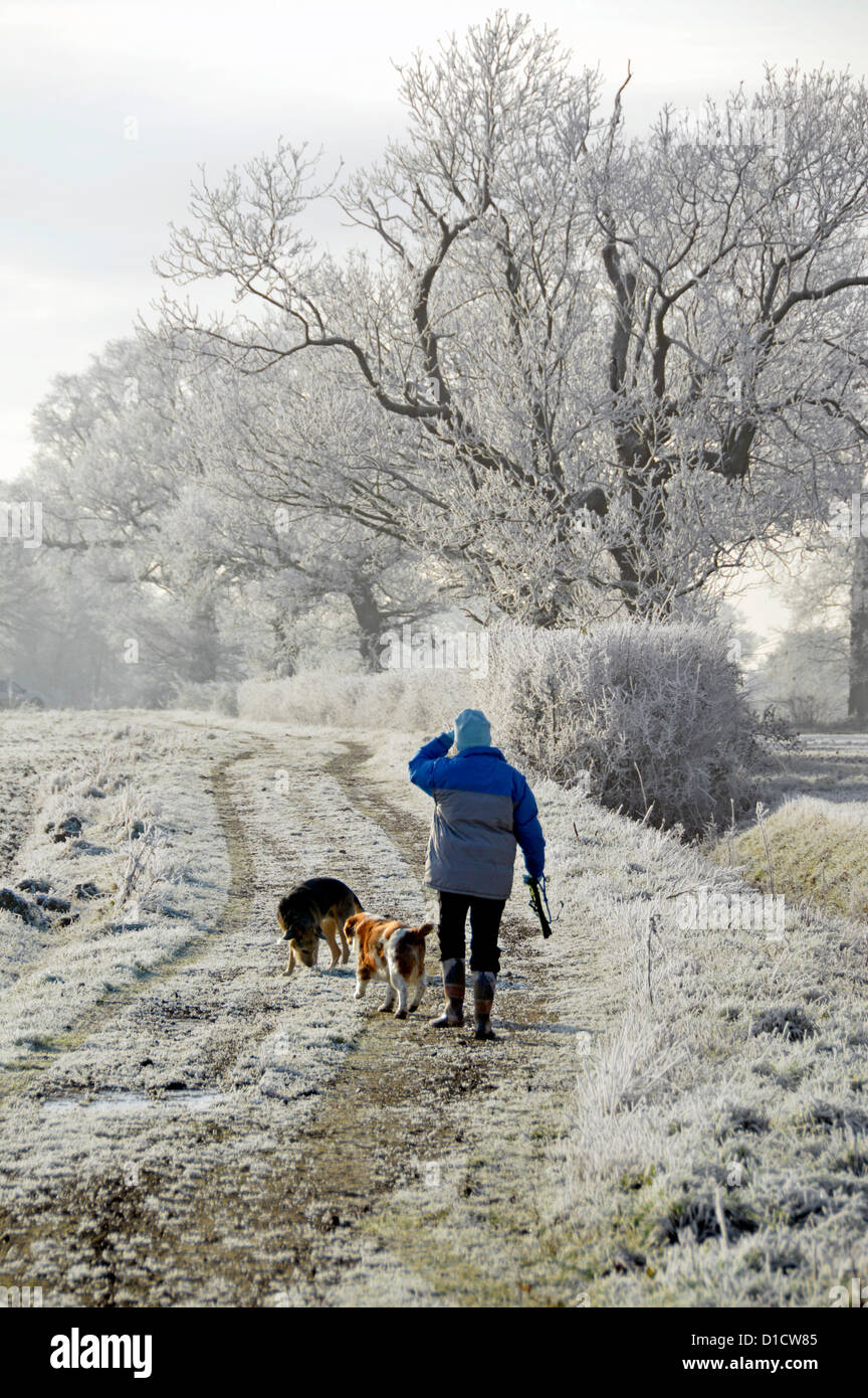How Do Dogs Exercise In The Winter