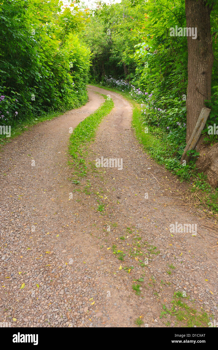 A shady road hires stock photography and images Alamy