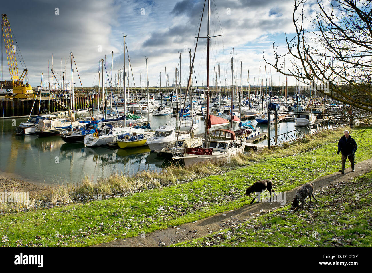 Tollesbury Marina High Resolution Stock Photography and Images Alamy