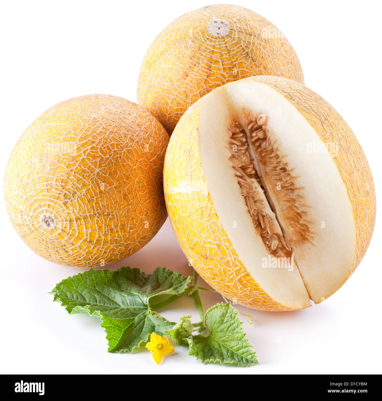 Melon with slices and leaves on a white background. Stock Photo