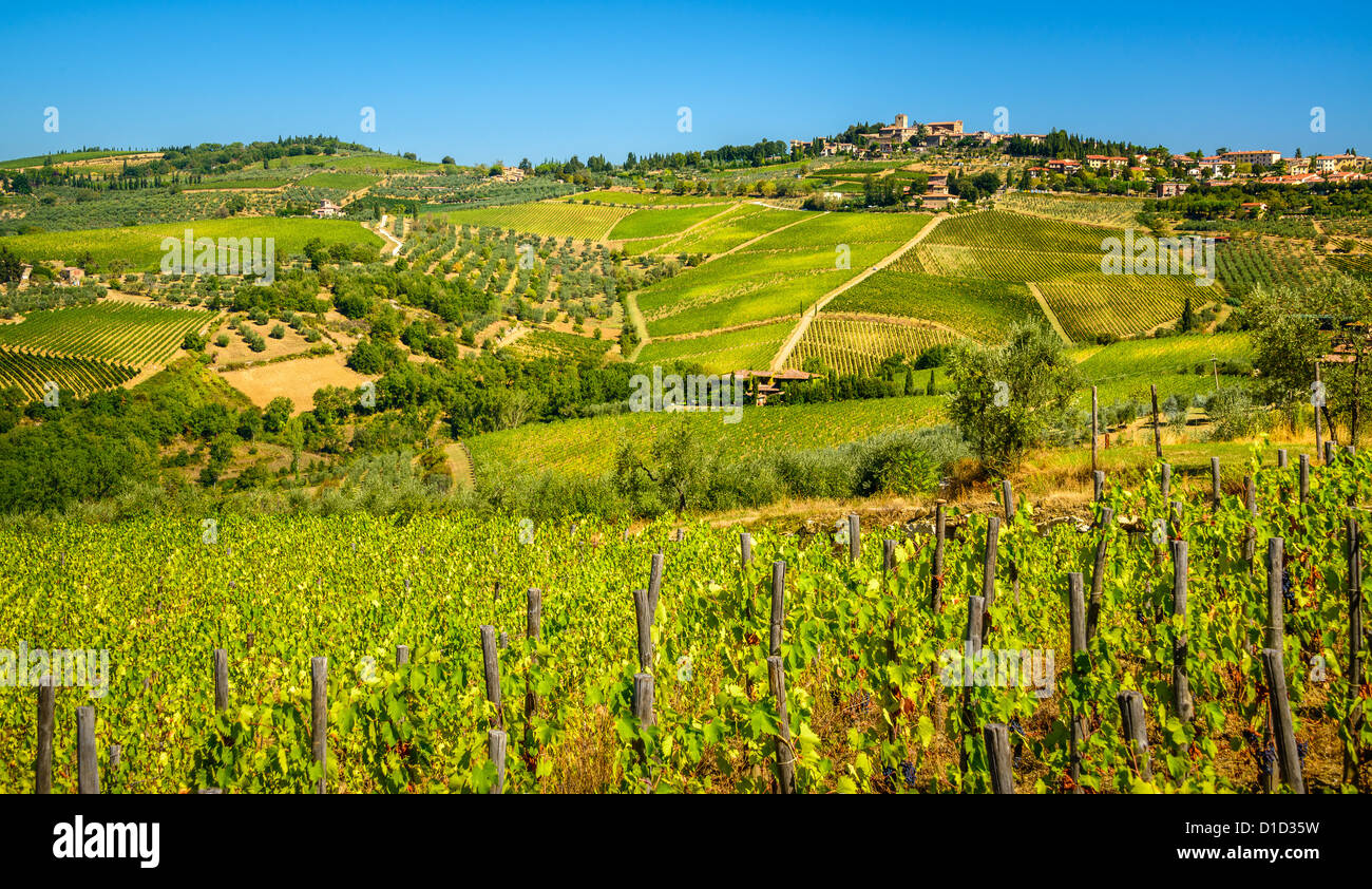 Italian Rural Vinyards Farmhouse and vineyards at sunrise hi-res stock photography and images ...