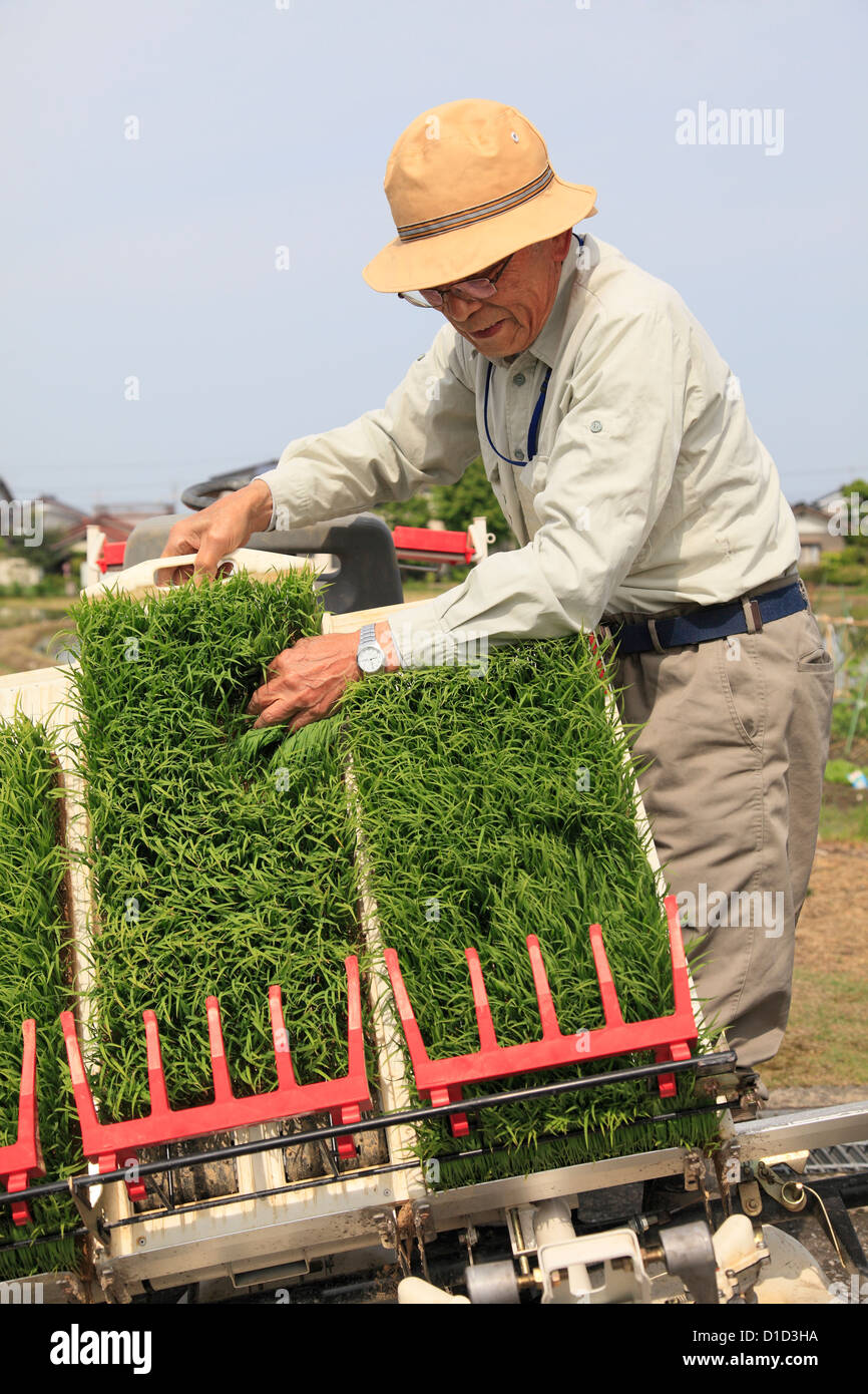 Farmer Setting Up Rice Planter Stock Photo