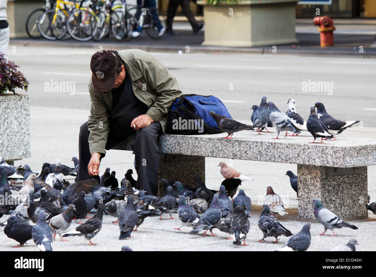 Man feeding pigeons. Daley Plaza, Chicago, Illinois Stock Photo Alamy