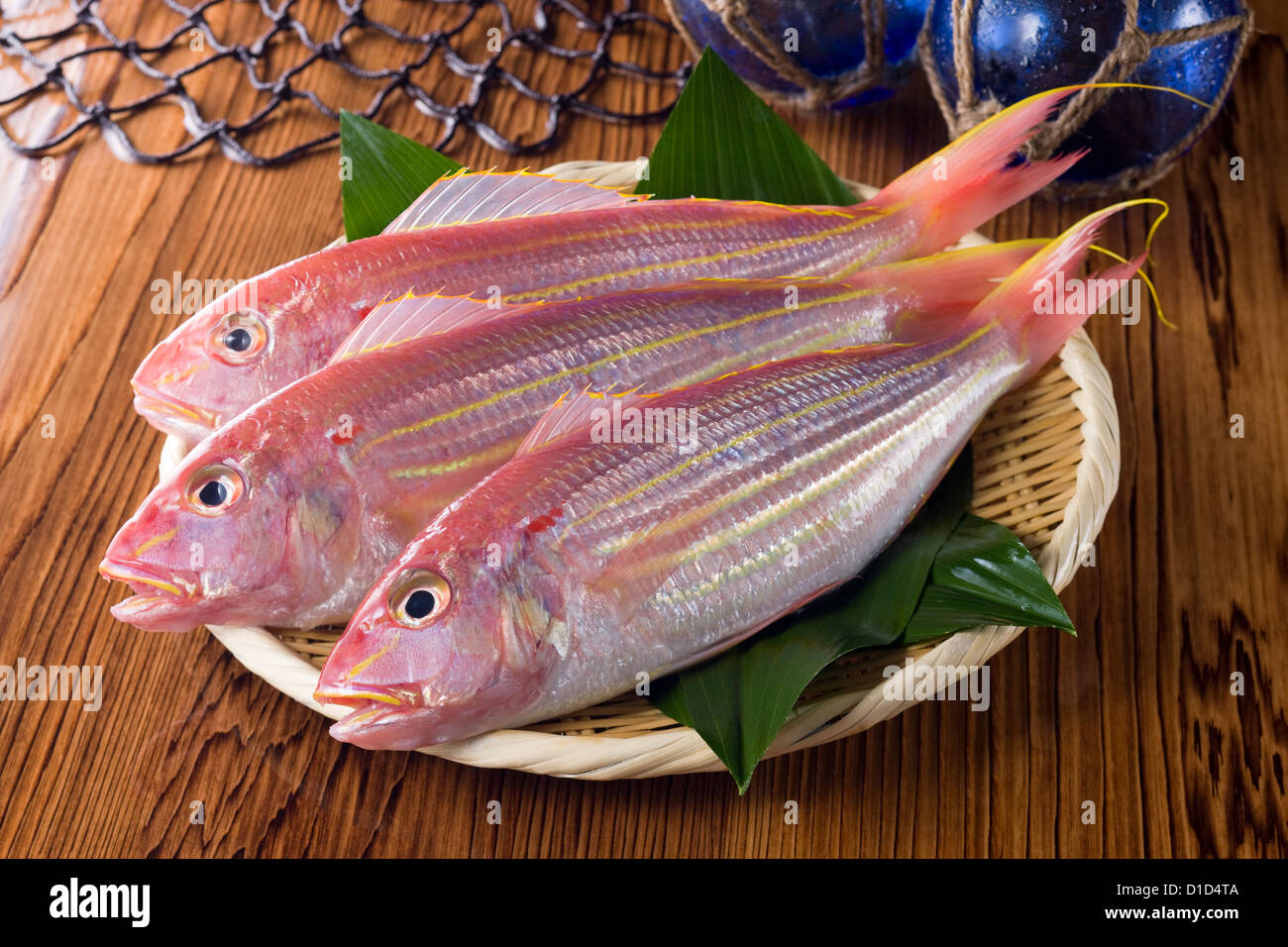 Threadfin bream hi-res stock photography and images - Alamy
