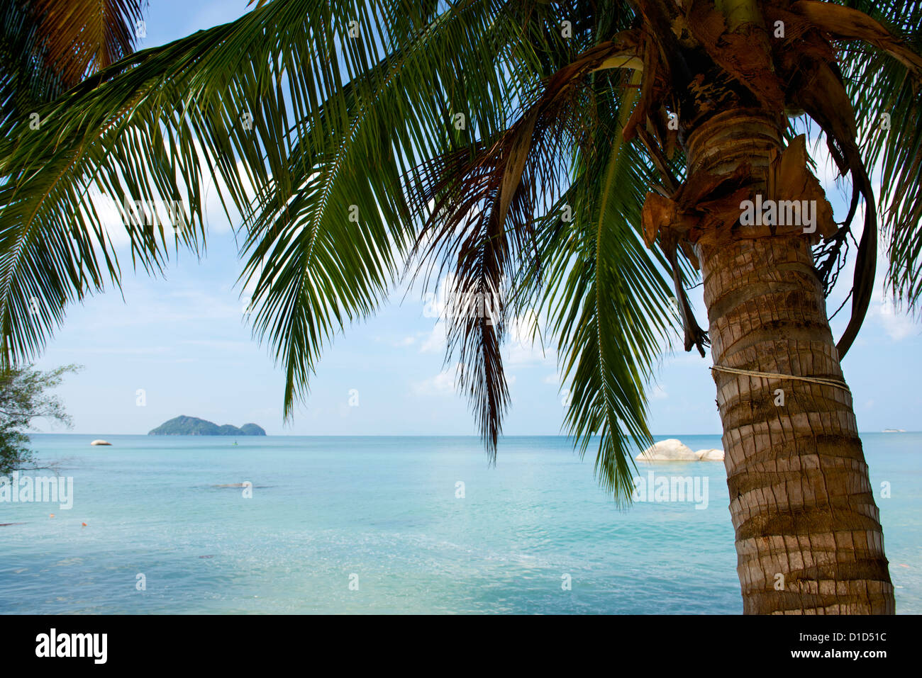 Tropical island palm tree hi-res stock photography and images - Alamy