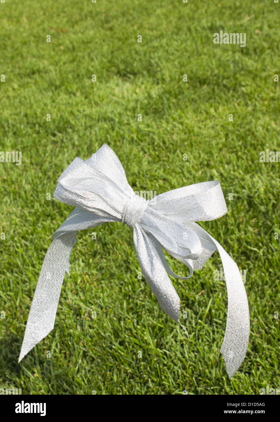 Landscape Ribbon Lawn and a ribbon Stock Photo - Alamy