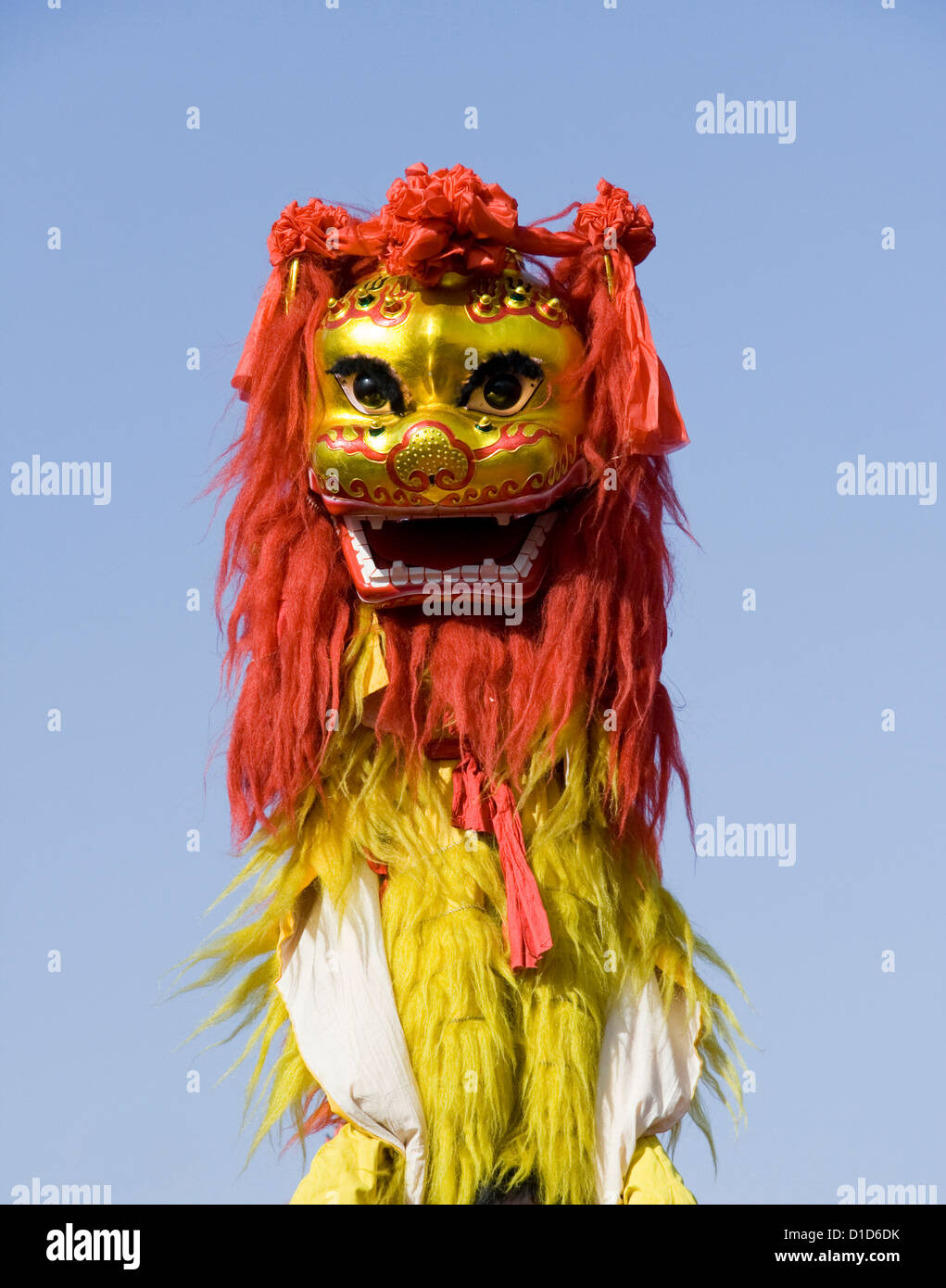 traditional chinese lion dancing for celebration chinese new year Stock Photo