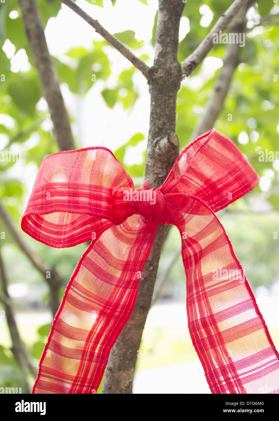 Ribbon tied around a tree Stock Photo Alamy