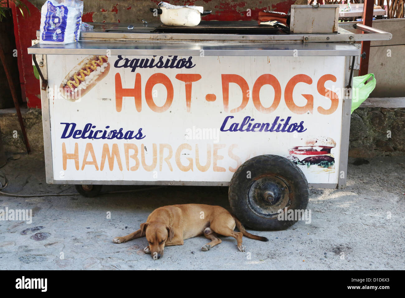 A sleeping dog lying next to a street vendor's hot dog cart. Stock Photo