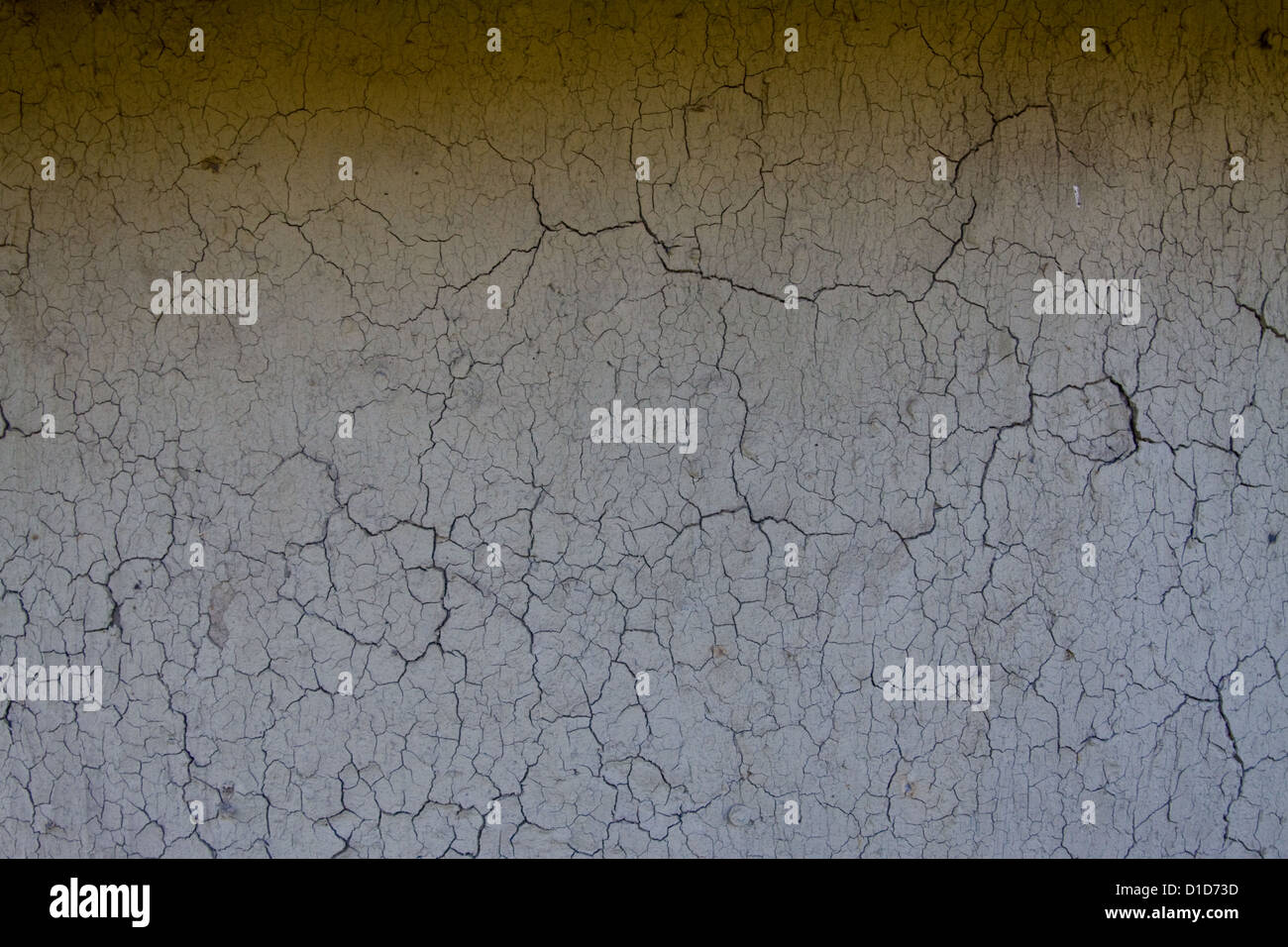 Veins section texture hi-res stock photography and images - Alamy