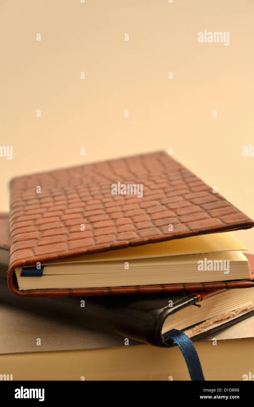 two agendas laying on table, top one has alligator skin cover Stock Photo