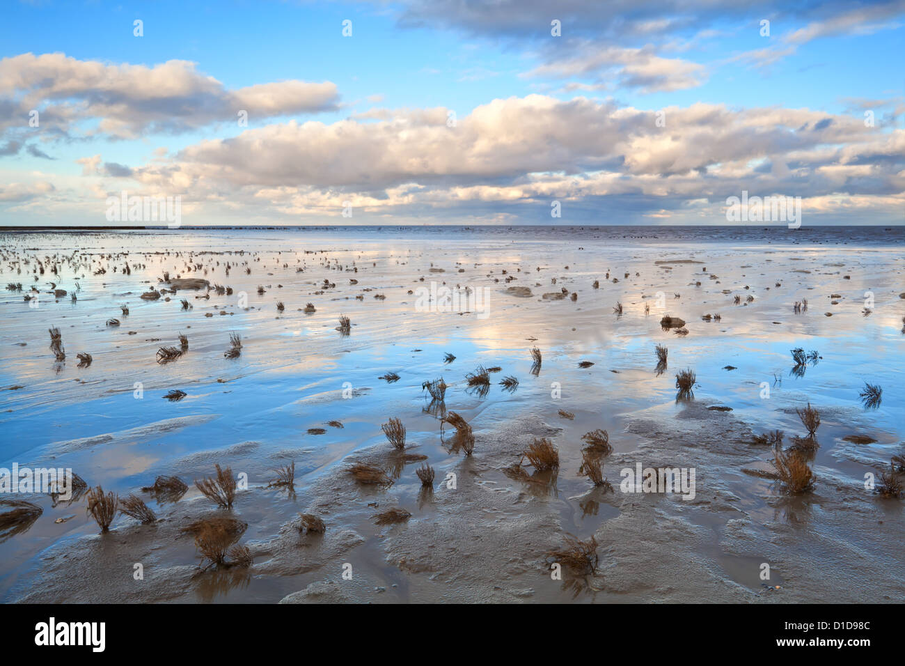 Sea at ebb tide hi-res stock photography and images - Alamy