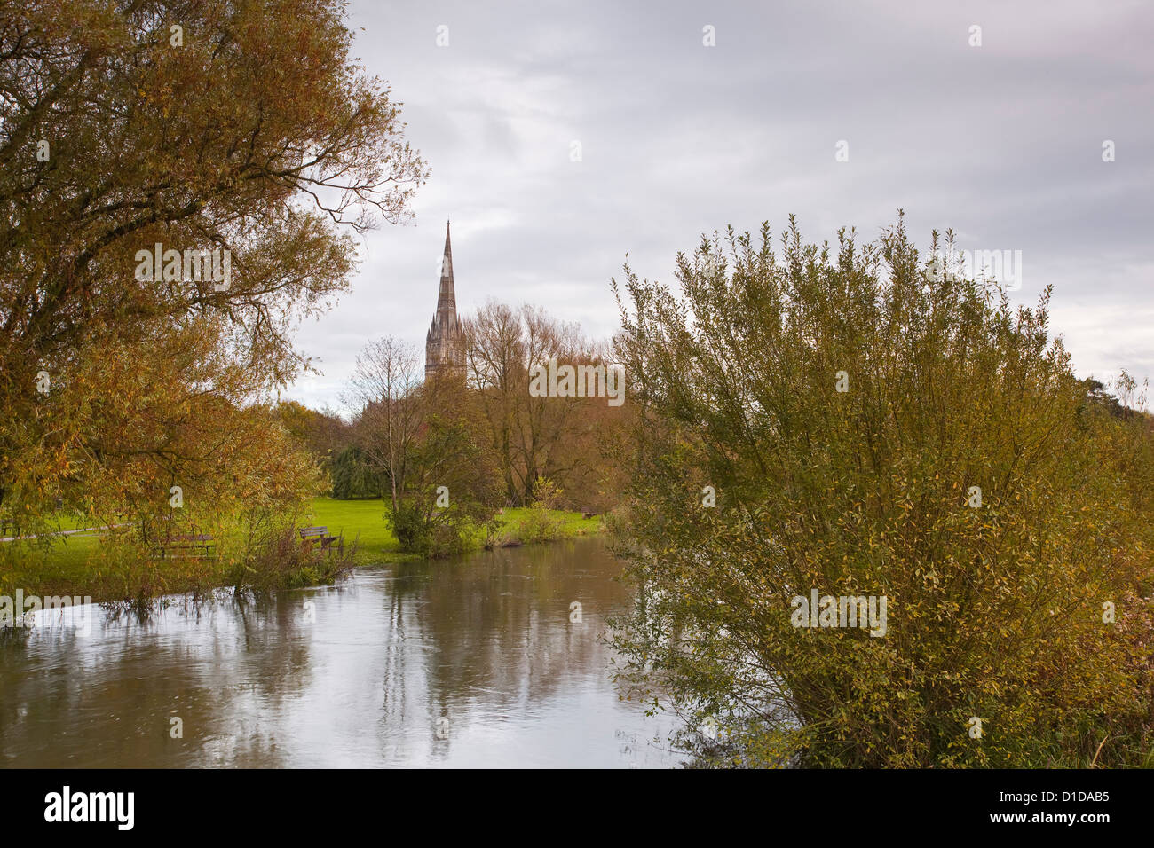 Salisbury cathedral and the west harnham water meadows in Wiltshire