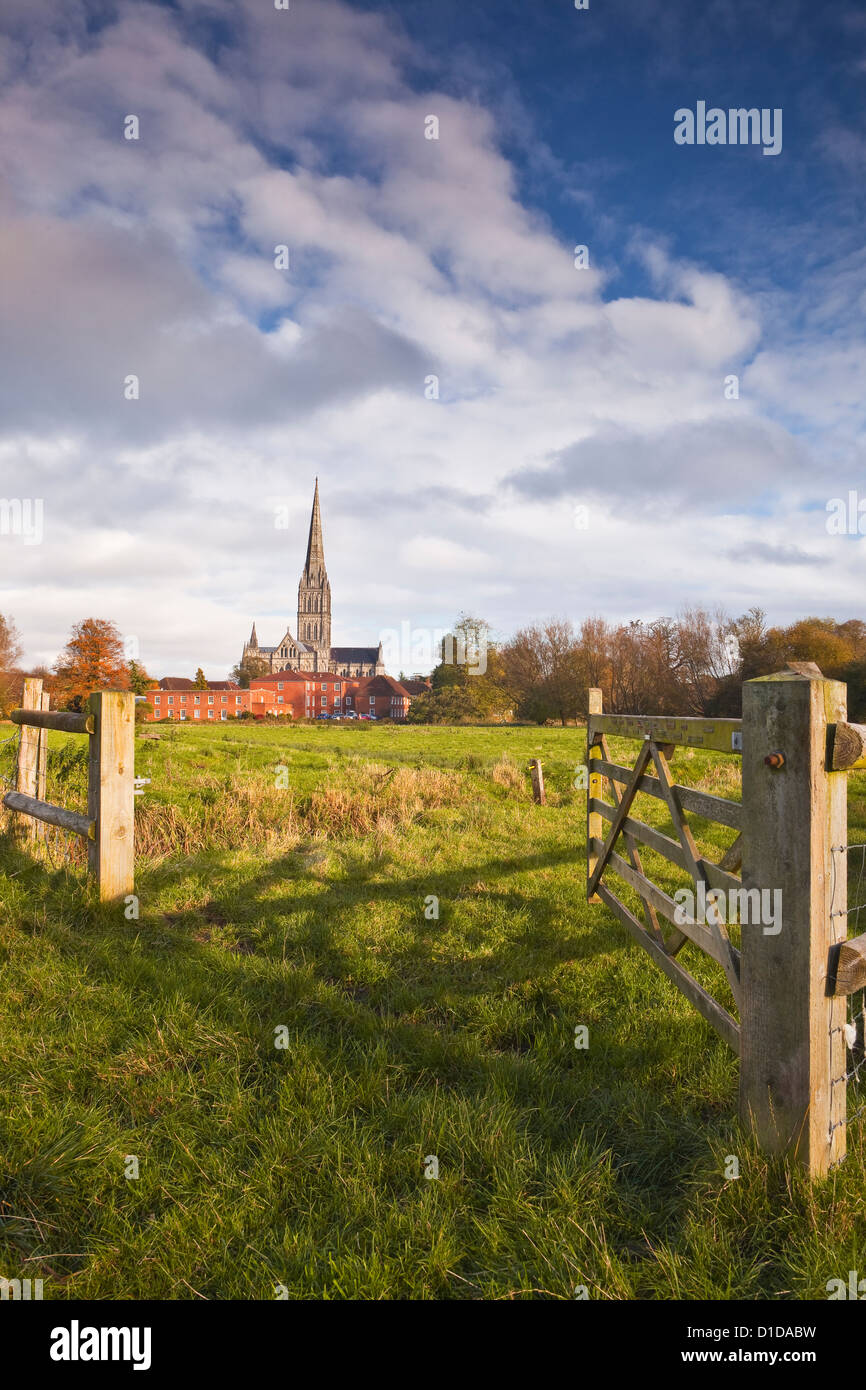 Salisbury cathedral and the west harnham water meadows in Wiltshire